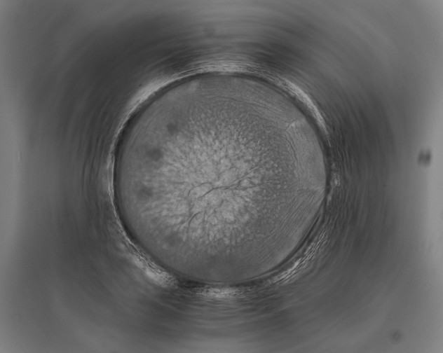 X0000096641035200803041122