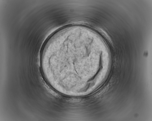 X0000096641036200803041122