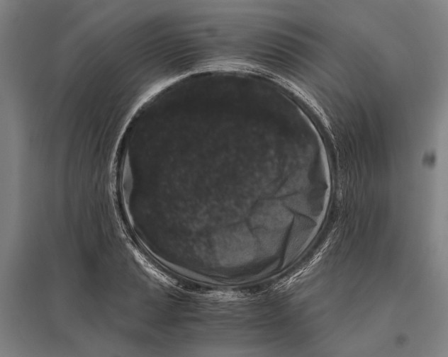 X0000096641037200803041122