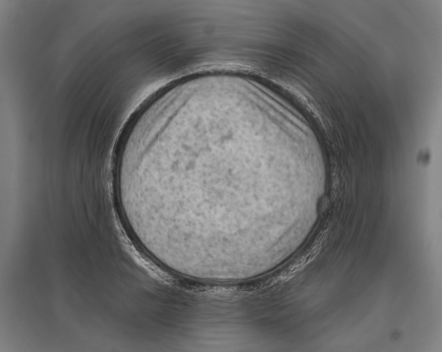 X0000096641038200803041122