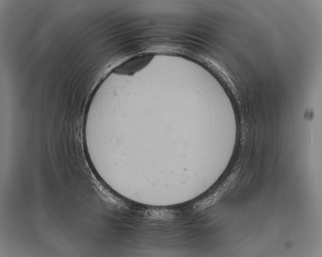 X0000096641041200803041122