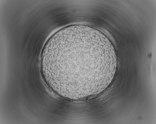 X0000096641044200803041122