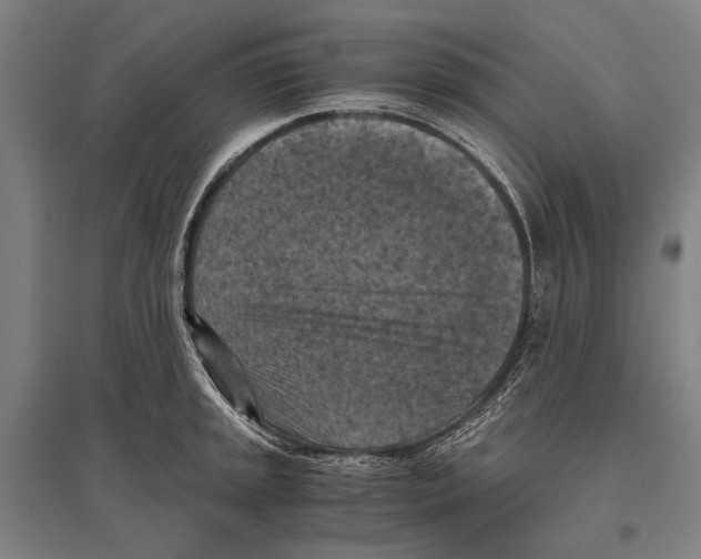 X0000096641045200803041122