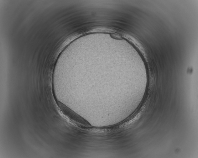 X0000096641049200803041122