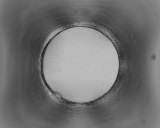 X0000096641050200803041122