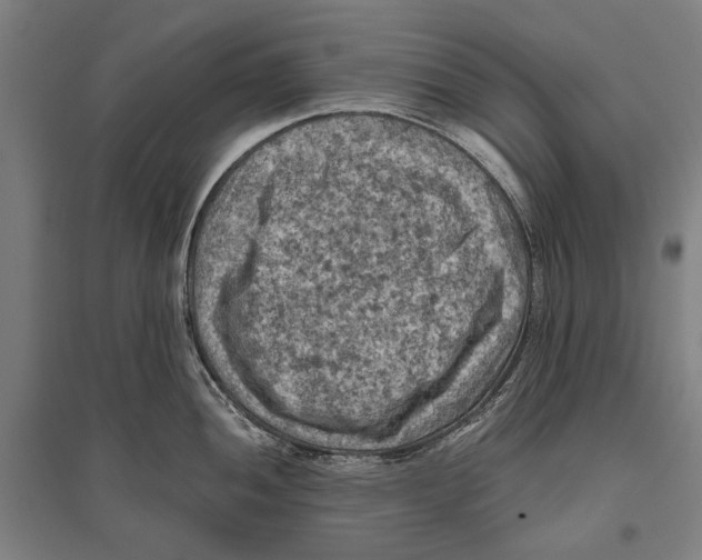 X0000096641052200803041122