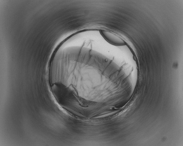 X0000096641053200803041122