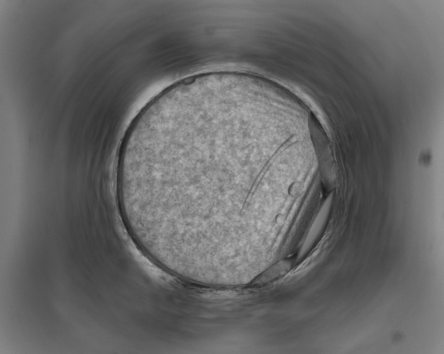 X0000096641054200803041122