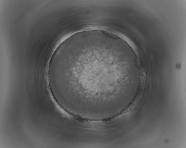 X0000096641055200803041122