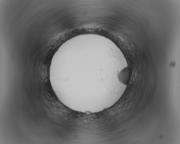 X0000096641062200803041121