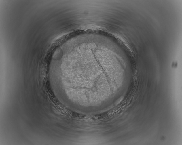 X0000096641063200803041121