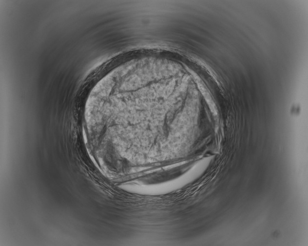 X0000096641064200803041121