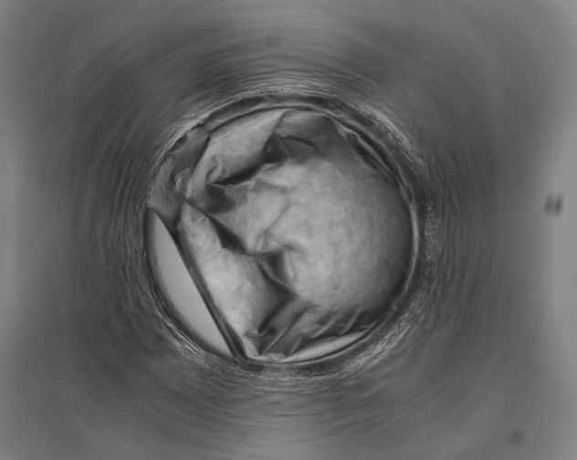 X0000096641065200803041121