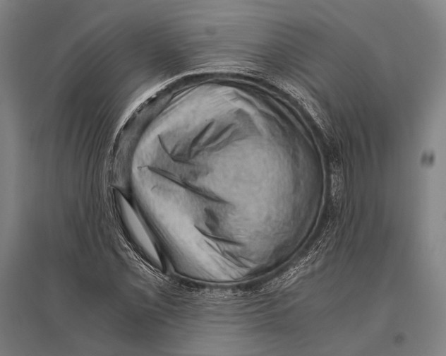 X0000096641069200803041121