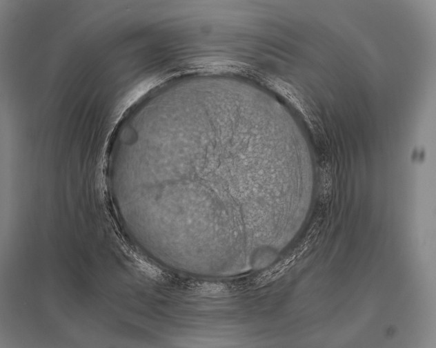 X0000096641071200803041121