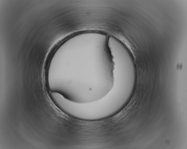 X0000096641072200803041121