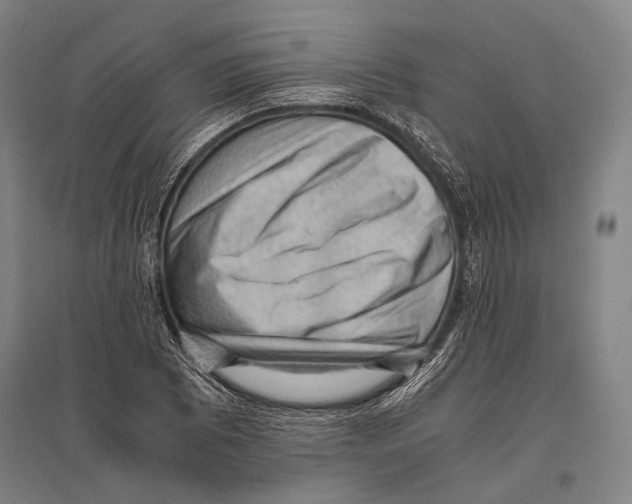 X0000096641073200803041121