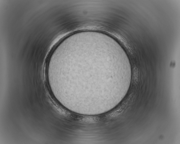 X0000096641078200803041121