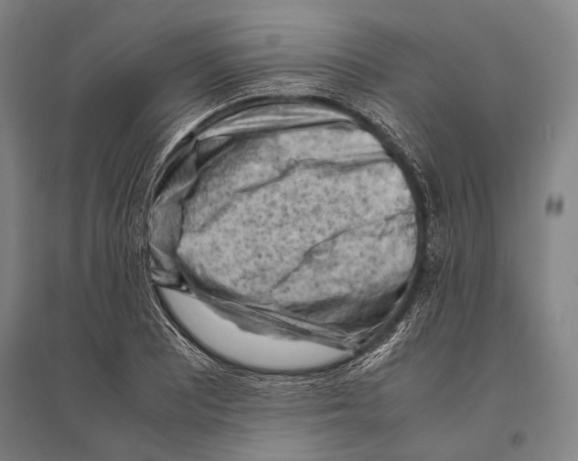 X0000096641081200803041121