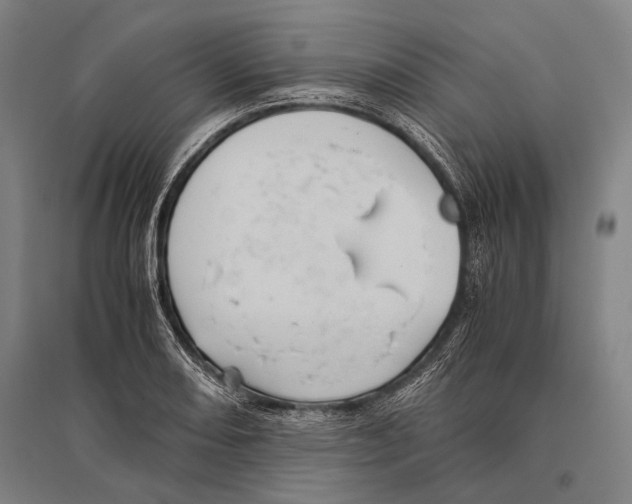 X0000096641082200803041121