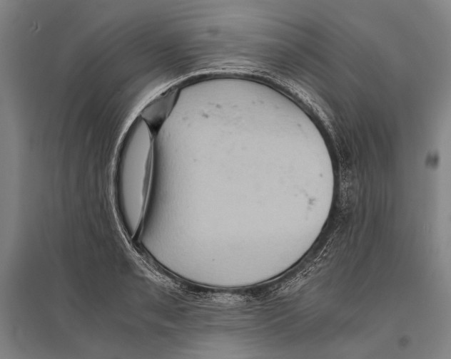 X0000096641085200803041121