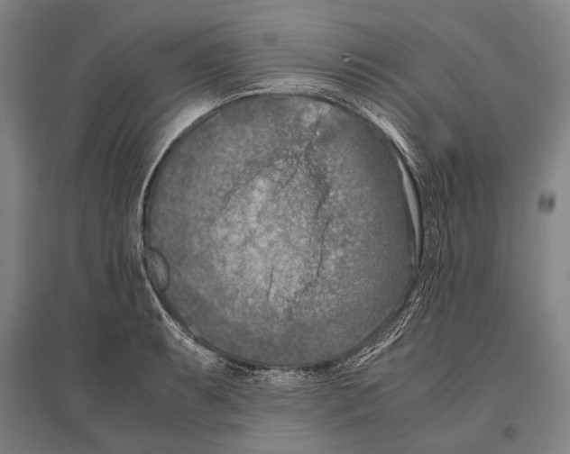 X0000096641087200803041121