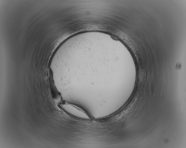 X0000096641089200803041121