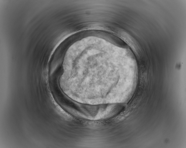 X0000096641092200803041121