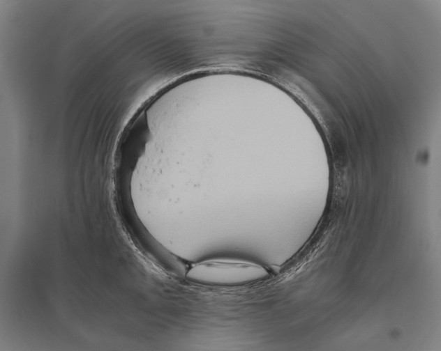 X0000096641093200803041121