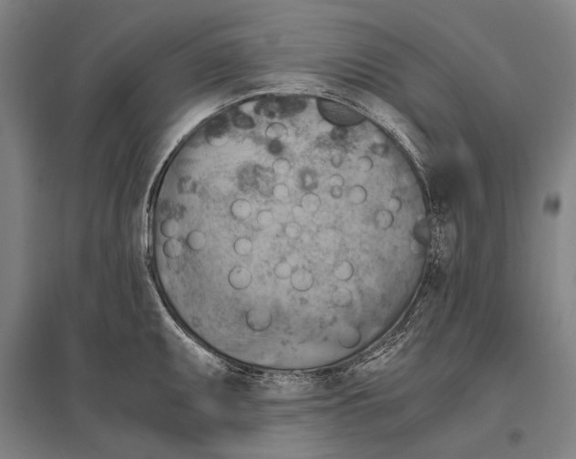 X0000096641095200803041121