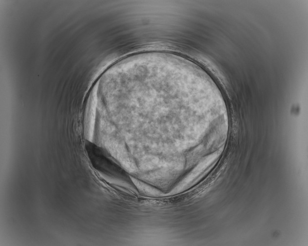 X0000096641097200803041121