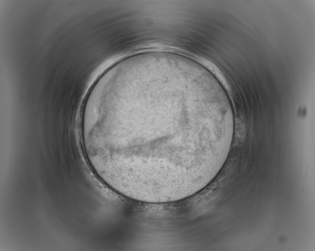 X0000096641098200803041121