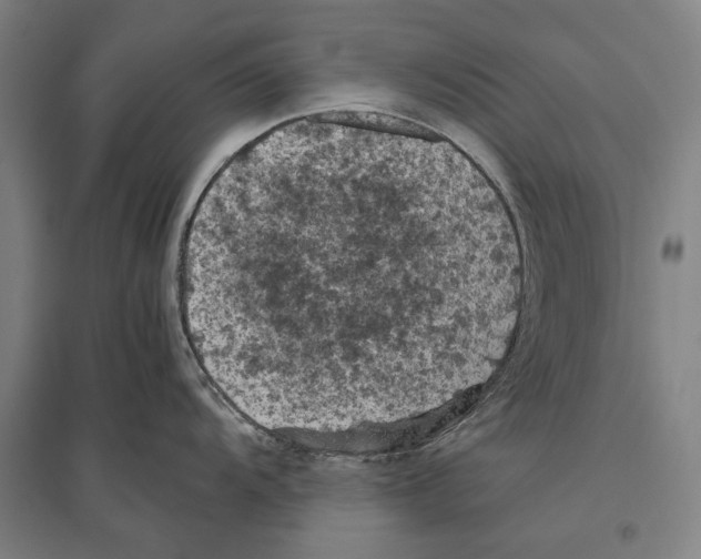 X0000096641104200803041121