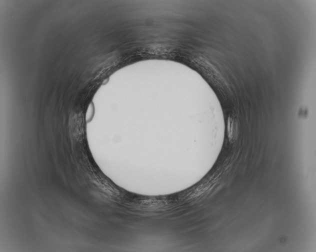 X0000096641107200803041120