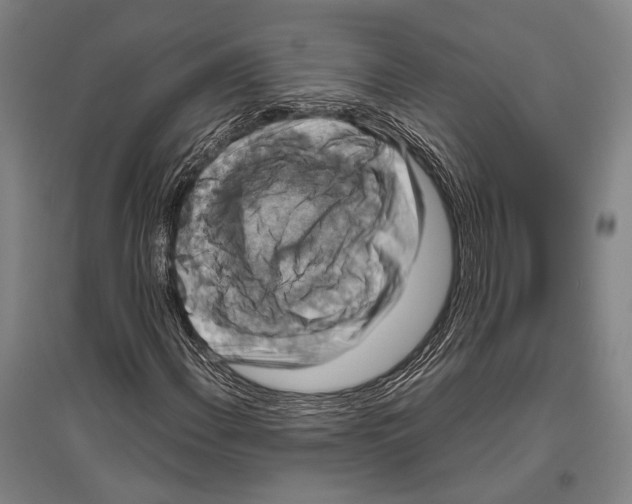 X0000096641108200803041120