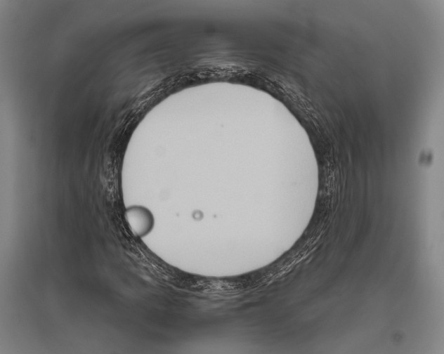 X0000096641109200803041120