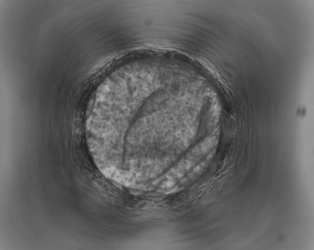 X0000096641110200803041120