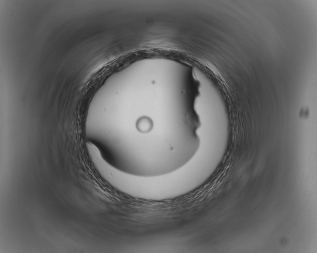 X0000096641112200803041120