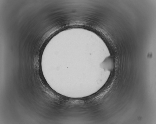 X0000096641113200803041120