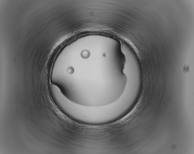 X0000096641114200803041120