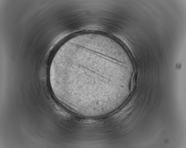 X0000096641115200803041120