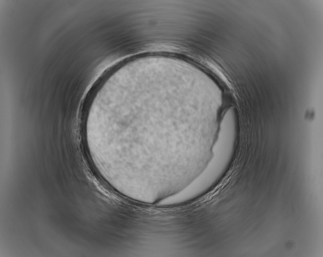 X0000096641116200803041120