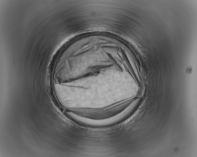 X0000096641118200803041120