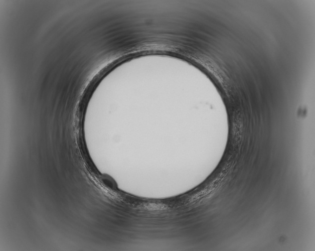 X0000096641119200803041120