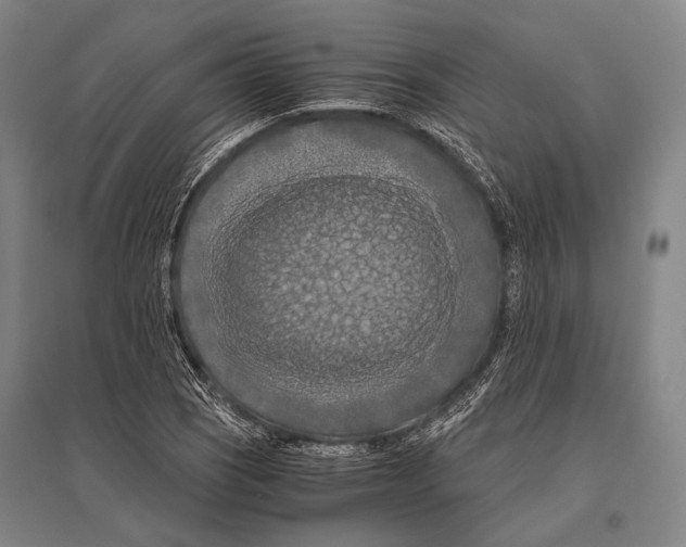 X0000096641121200803041120