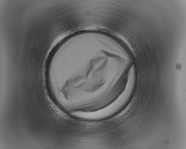 X0000096641122200803041120