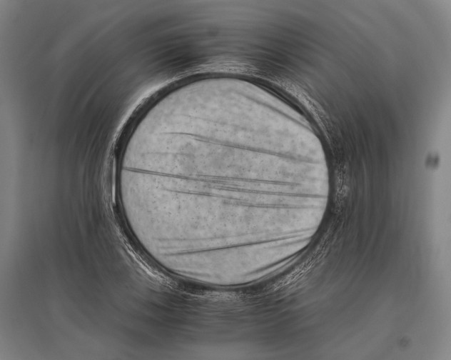 X0000096641123200803041120