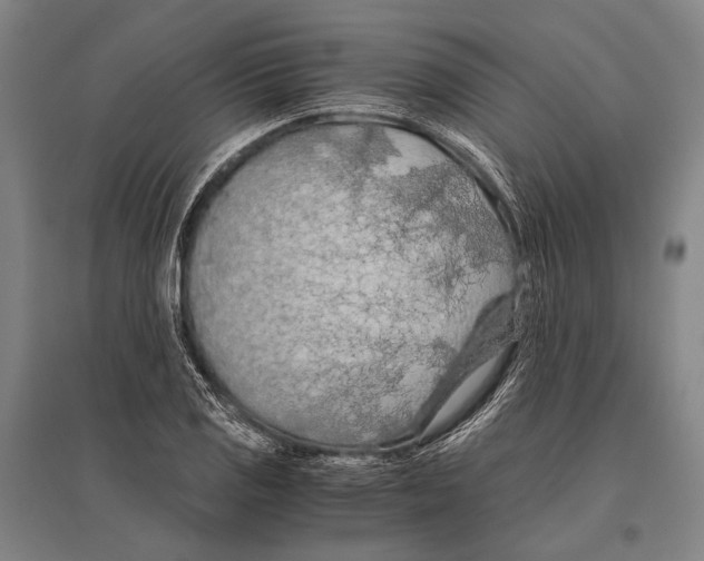 X0000096641125200803041120