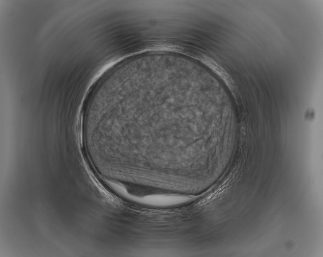 X0000096641127200803041120