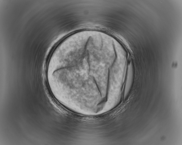 X0000096641128200803041120